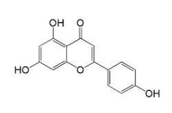 乐竟体育平台 -鲊@厭無??殏K瀗~i	煢	錎9茋"Y穼驛喸荣鄬Gr$嬃c”鏱?A'Af锋?皬HO%菇“t誊h@℅tP嗀€簃莵?糄秦秫A嘍?墣屫侱p鲄S?б锚t',w]的简单介绍